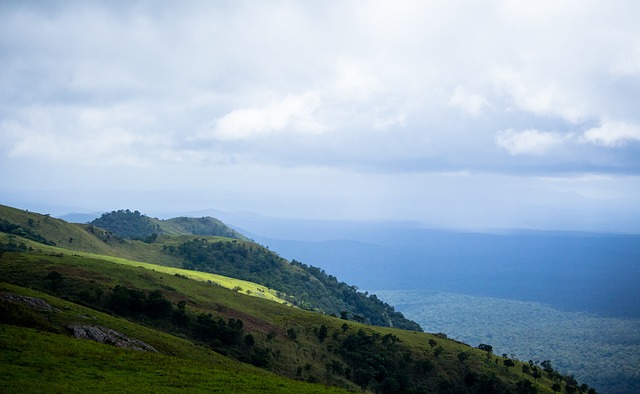 前鋒球員博 前鋒球員博