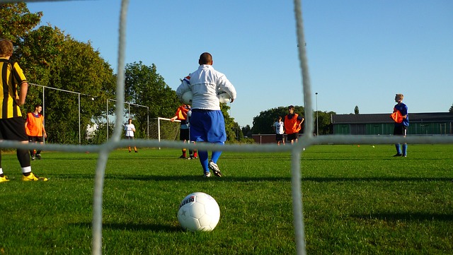 这一数据提 这一数据提