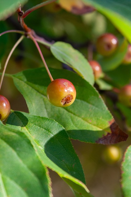 於戰術調整 於戰術調整