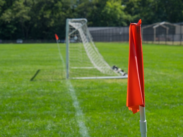 了一剂强心 了一剂强心