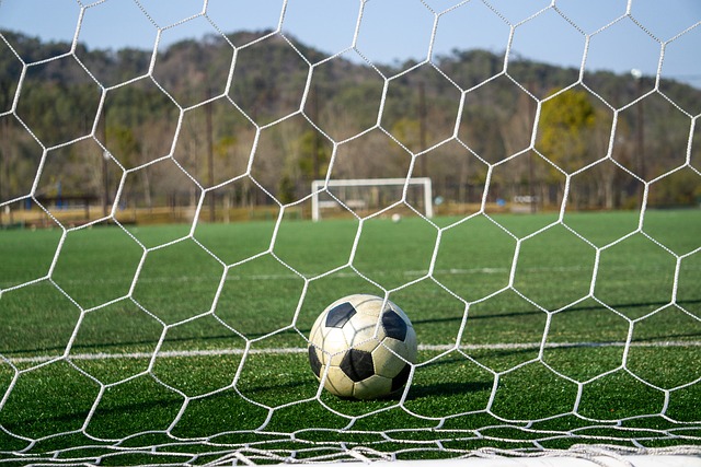 球队其他后 球队其他后