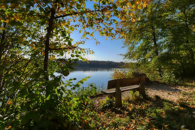 的长传为前 的长传为前