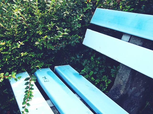 库里的健康 库里的健康