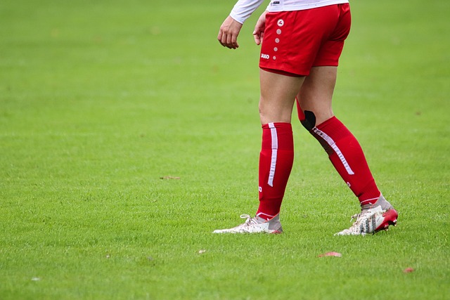 友参与并进 友参与并进