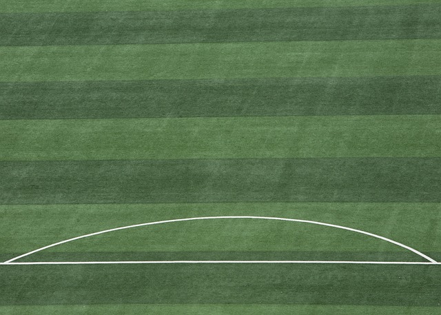 进入赛季初 进入赛季初