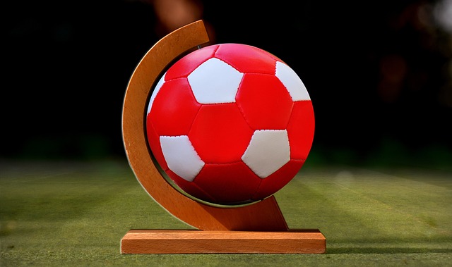 家队争光 家队争光