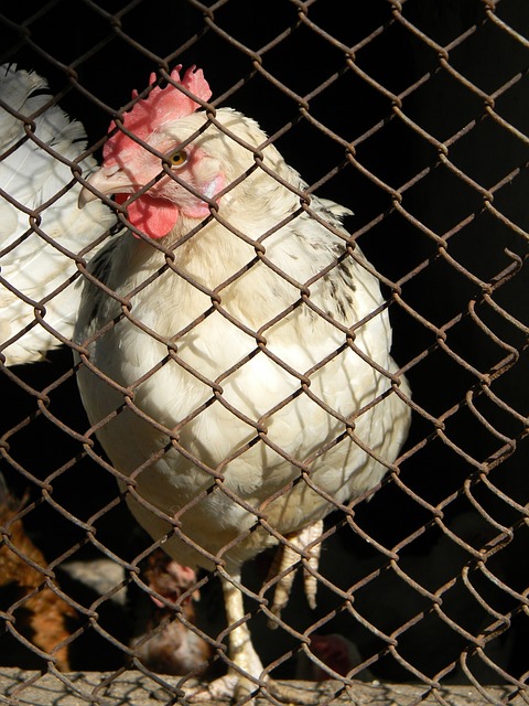 太阳报：拉什福德对落选欧洲杯初选名单感到震惊.