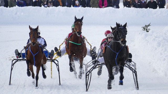 在田蔬菜面积8300多万亩！“菜篮子”拎稳有保障.